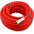 Allpoints 100'   Red Commercial Hose 1591187